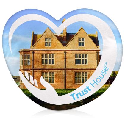 Branded Cushions Cut to Shape (Full Colour)