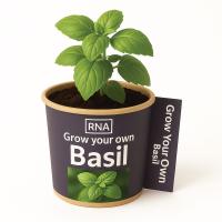 Desktop Herb Garden - Basil