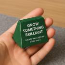 Van Shaped Seed Bomb - Mini Box