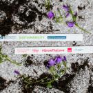 Seed Paper Wristband