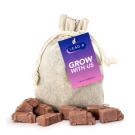 Van Shaped Seed Bombs - Bag