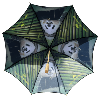 Bamboo Auto Golf Eco