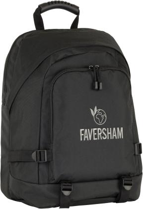 New Faversham Eco Recycled  Rpet Laptop Backpack
