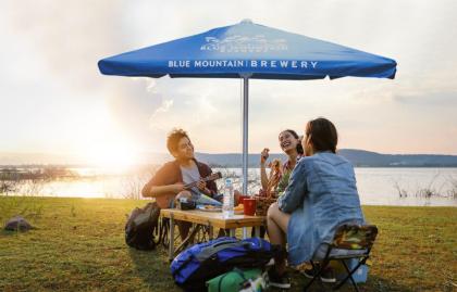 2m Square Aluminium Eco Parasol