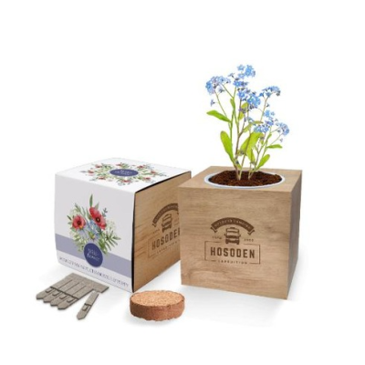 Essentials Desktop Cube Gardens