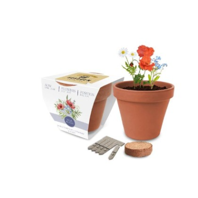 Express Clay Pot Gardens