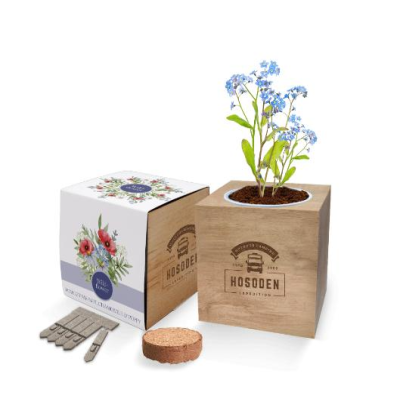 Express Desktop Cube Gardens