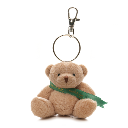 Teddy Keyring - Sash