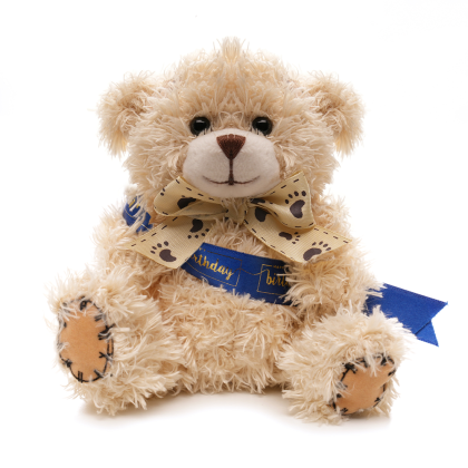Small Patched Paw Teddy - Sash