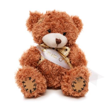 Medium Patched Paw Teddy - Sash