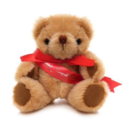 Small Jointed Teddy - Sash