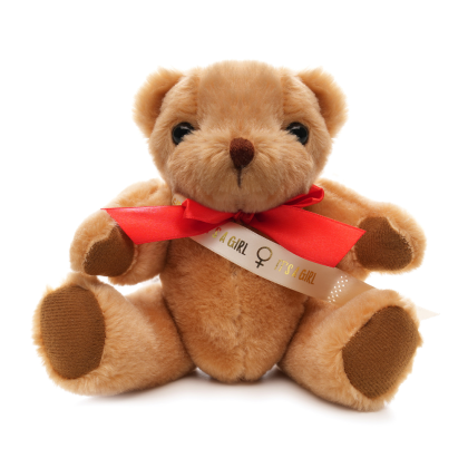 Medium Jointed Teddy - Sash