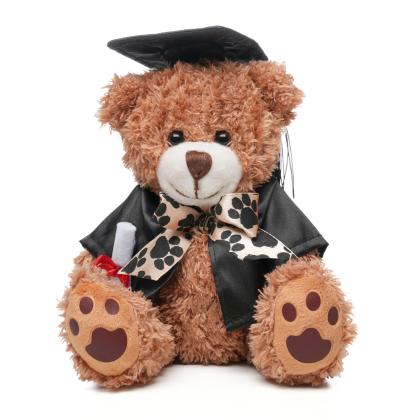 Graduation Style Medium Patched Paw Teddy