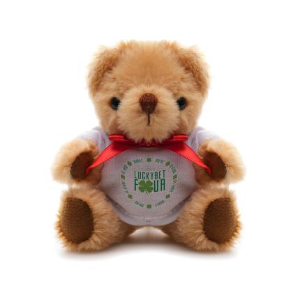 Small Jointed Teddy - T-shirt