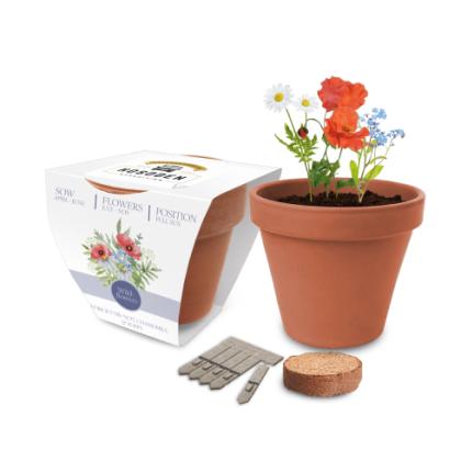 Super Express Essentials Clay Pot Gardens