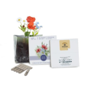 Essentials Letterbox Gardens