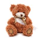 Medium Patched Paw Teddy - Sash