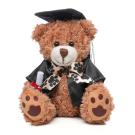 Graduation Style Medium Patched Paw Teddy