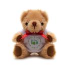 Small Jointed Teddy - T-shirt