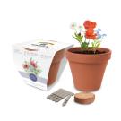 Super Express Essentials Clay Pot Gardens