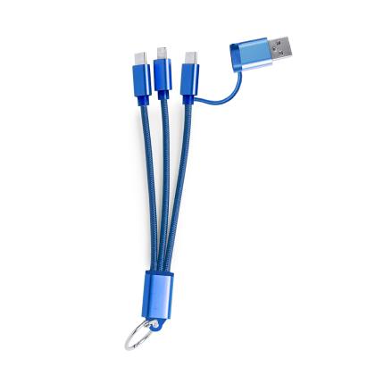 Frecles Charging Cable - BLUE