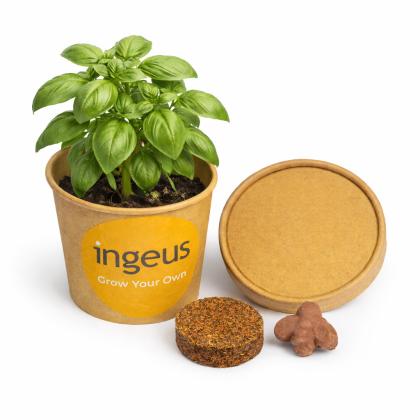 Desktop Herb Garden - Basil - Full Colour Label