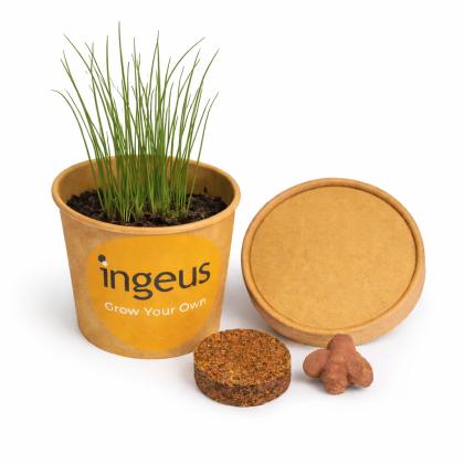 Desktop Herb Garden - Chives - Full Colour Label