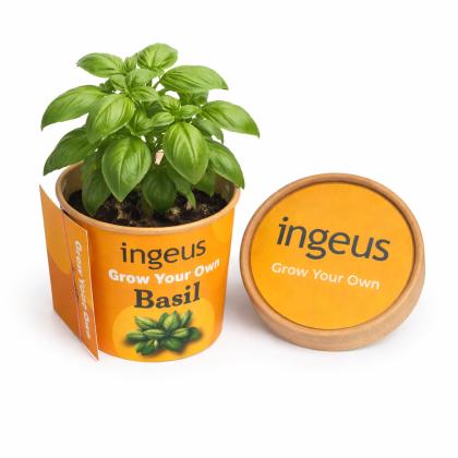 Desktop Herb Garden - Basil - Label & Wrap