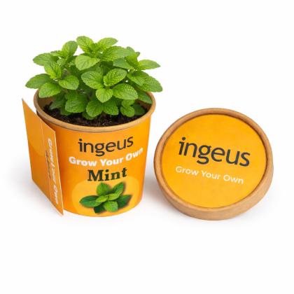 Desktop Herb Garden - Mint - Label & Wrap