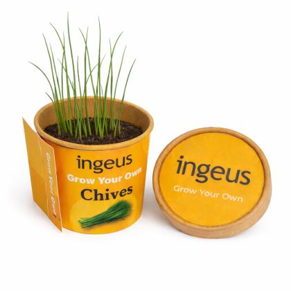 Desktop Herb Garden - Chives - Label & Wrap