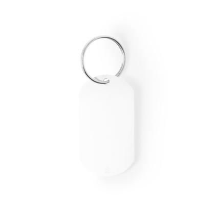 Mailtek Keyring - SILVER