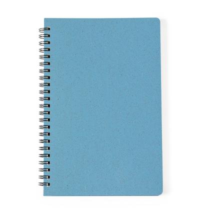 Roshan Notebook - BLUE