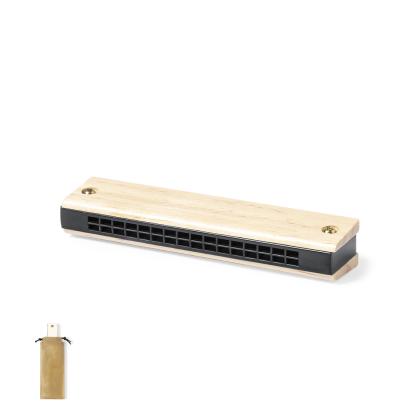 Blues Harmonica -