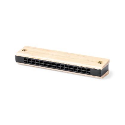 Blues Harmonica -