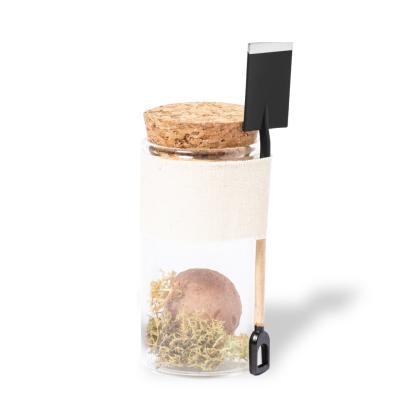 Winsu Seed Bonbons - TYPE B