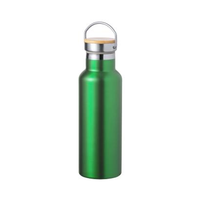 Naxel Insulated Bottle - GREEN