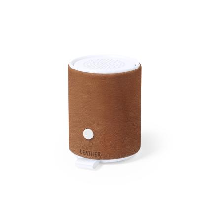 Sotep RCS Speaker - BROWN