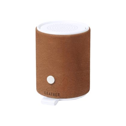 Sotep RCS Speaker - BROWN