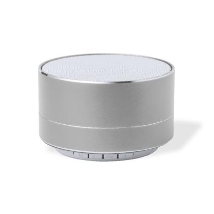 Skind Speaker - SILVER