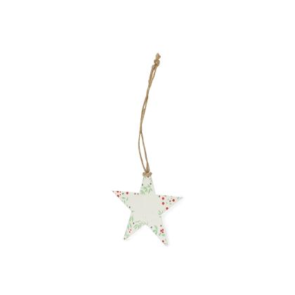 Boster Seeds Christmas Decoration - STAR