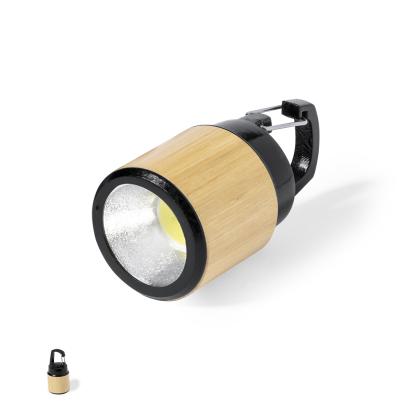 Gus Torch -