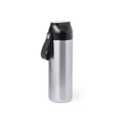 Troy Insulated Bottle - SILVER