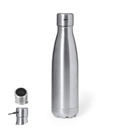 Chuck Insulated Bottle - SILVER