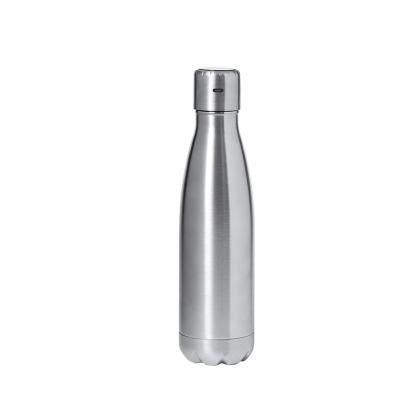 Chuck Insulated Bottle - SILVER
