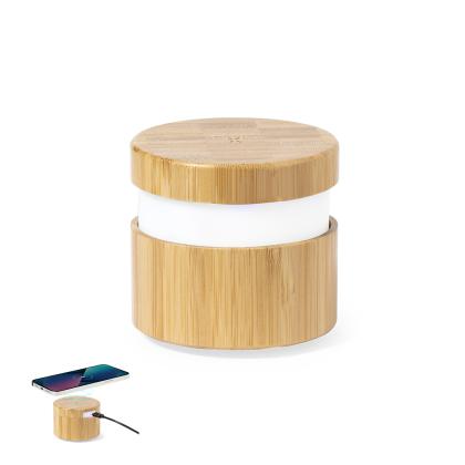 Sheilax Multifunction Lamp -