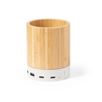 Birwen Multifunction Pencil Holder -