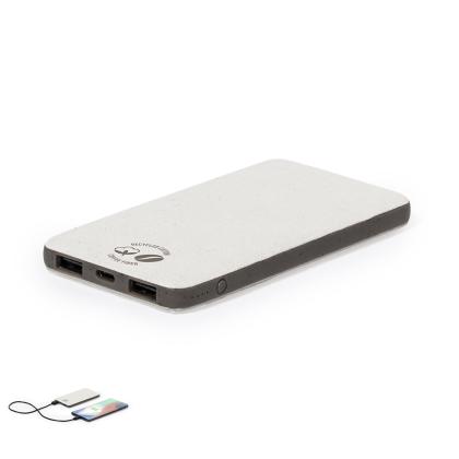 Mayer Power Bank - BROWN
