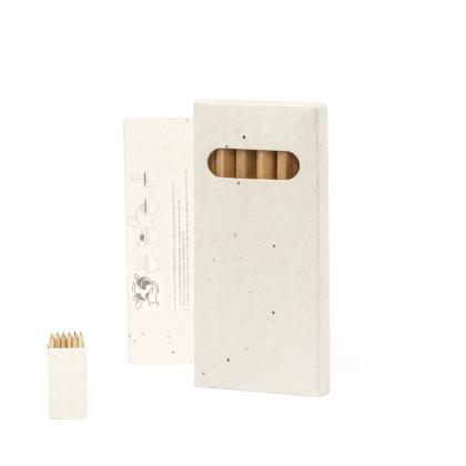 Delar Seeds Pencil Set -