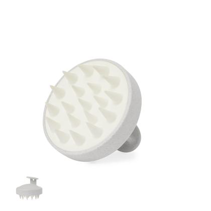 Nocote Emulsifier - NATURAL