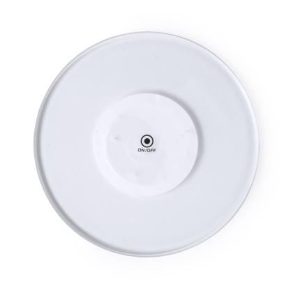 Vitaly Coaster - WHITE